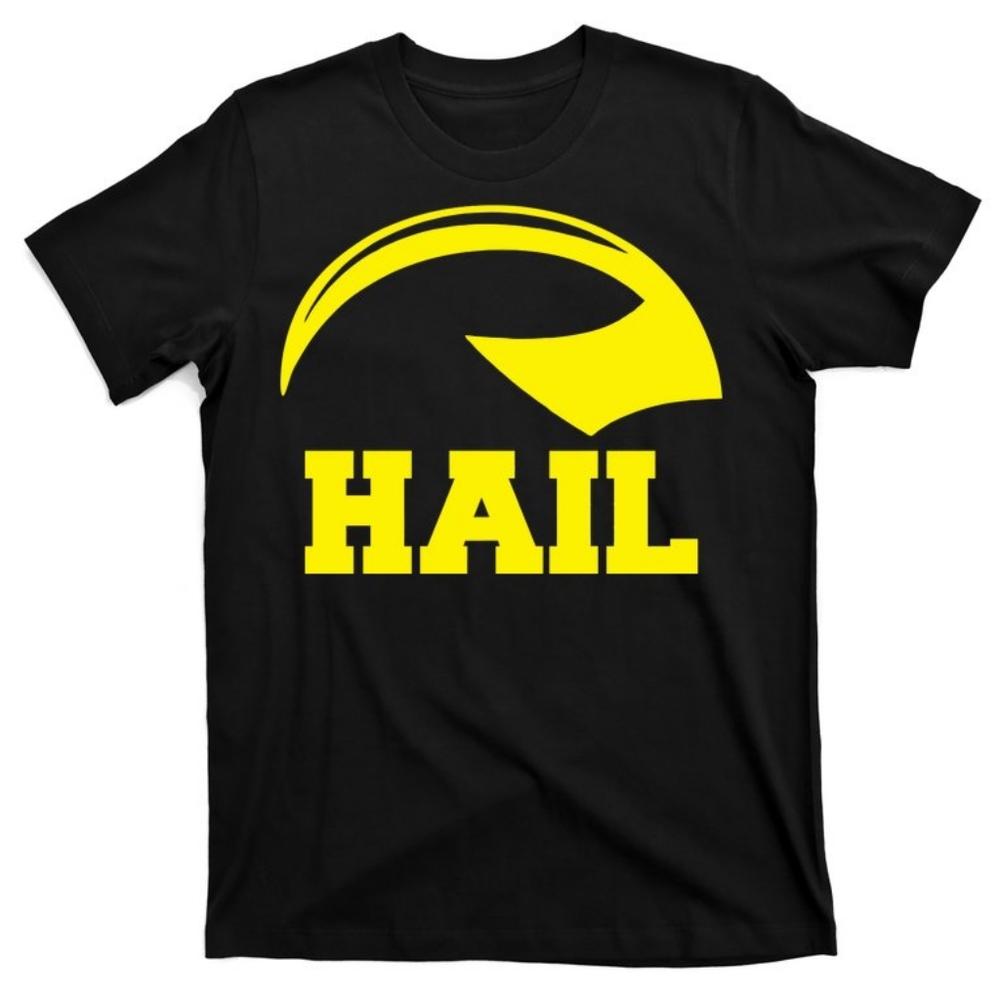 Michigan  tshirt new